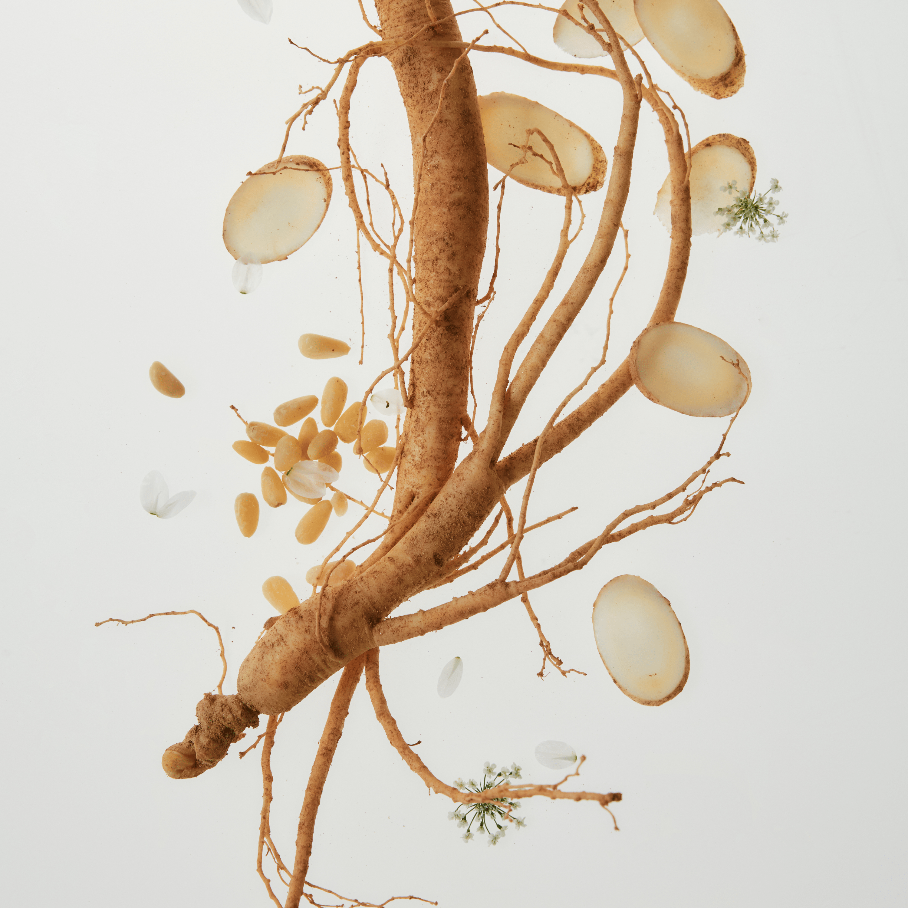 Revive Eye Serum: Ginseng + Retinal